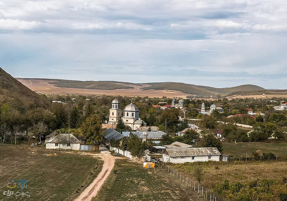 Mănăstirea Vovidenia